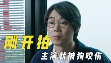 娱乐吃瓜y君,揭秘娱乐圈幕后故事